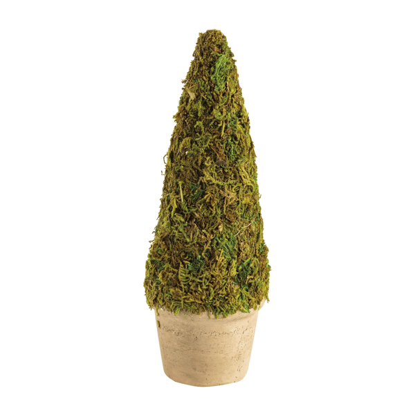 Cone Moss Covered Topiary