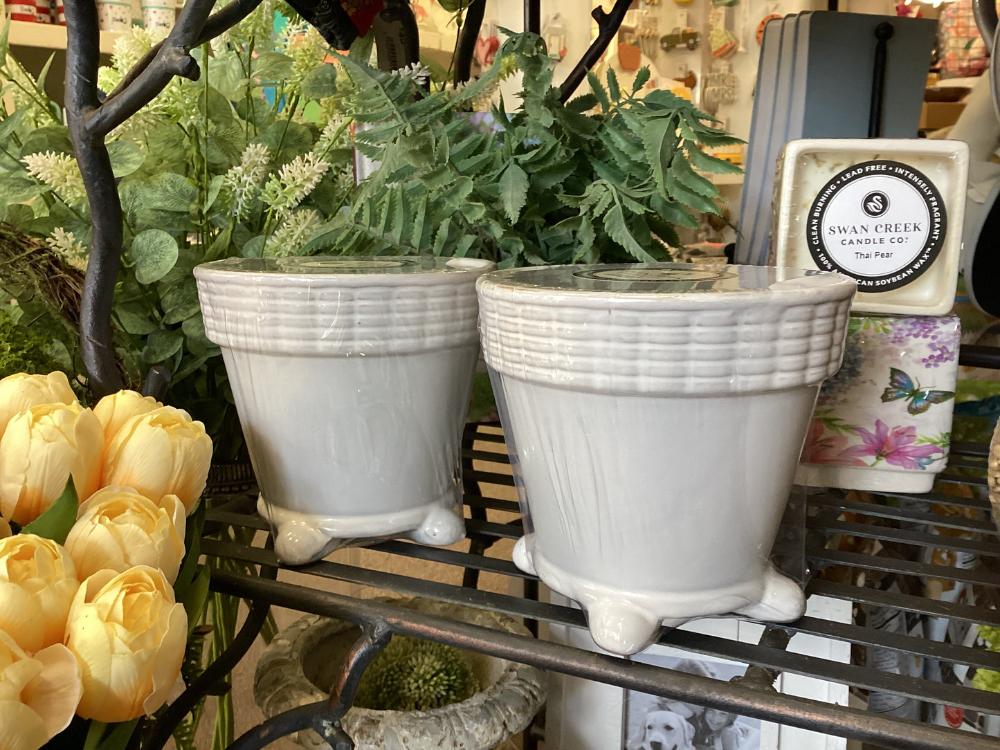 Fresh Strawberry, Eclectic Deco Pot
