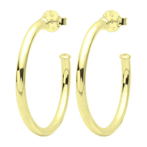 Small Everybody's Favorite Hoops, Shiny Gold