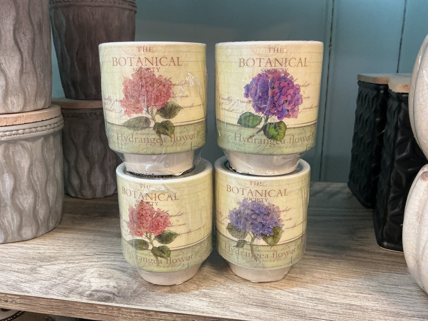 White Peach, Botanical Sm Rd