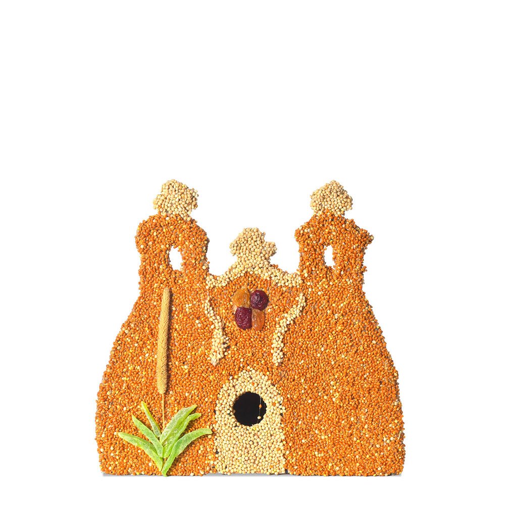 Mission - San Francisco Bird House