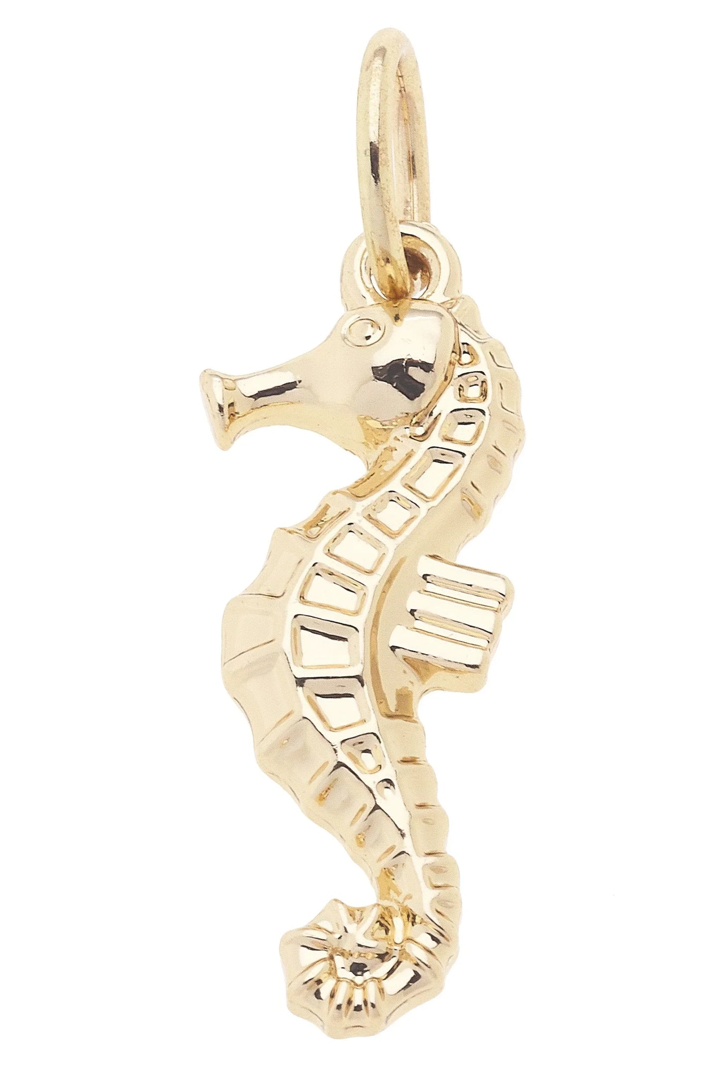 Shiny Gold Seahorse Charm