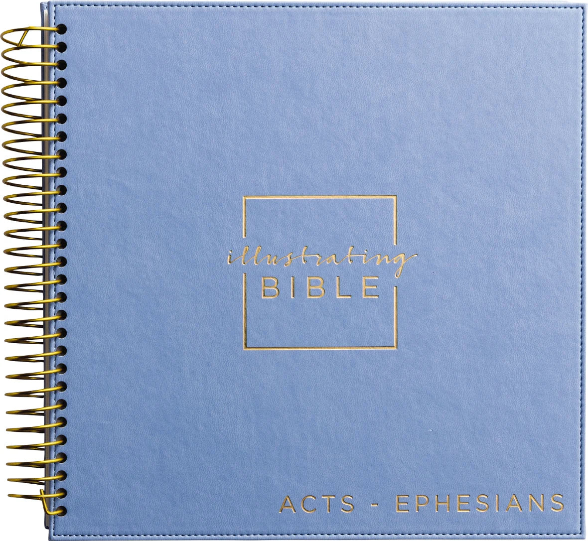 NIV - Acts to Ephesians - Illustrating Bible