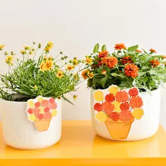 Big Bowl Neutral Small Dot