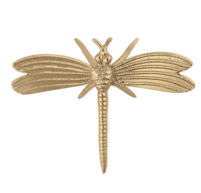 Gold Dipped Pacific Dragonfly