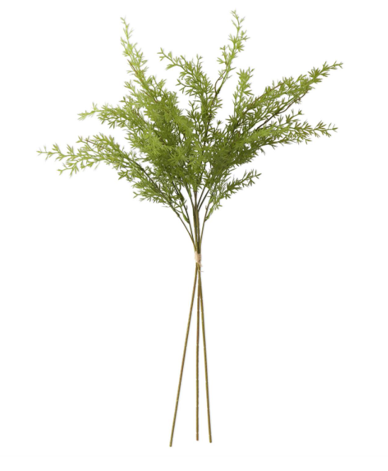 27 Inch Water Sprite Fern Bundle (3 Stem)