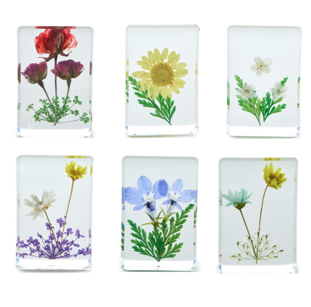 Wildflower Pressed Acrylic Keepsake Block, Assorted