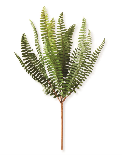 14.5 inch Fish Bone Fern Stem