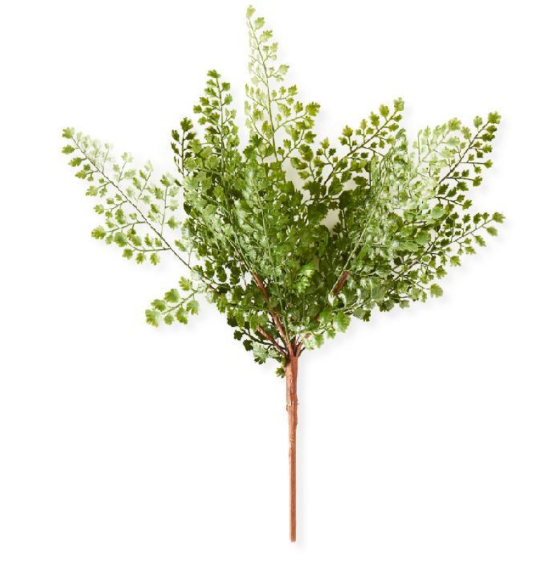 16 Inch Maidenhair Fern Spray Stem