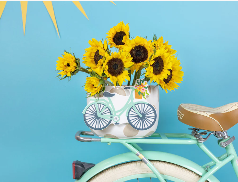 Bicycle Big Attachment