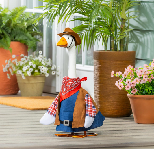 Porch Goose Outfit, Wild West
