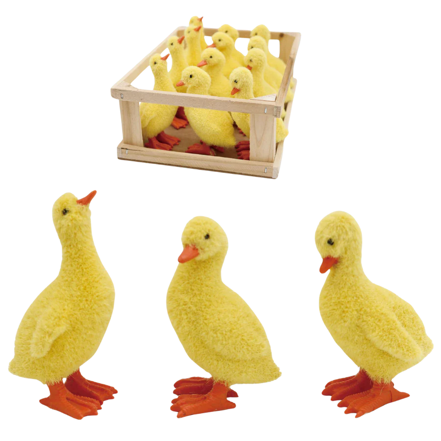 Mini Flock Ducks, Assorted