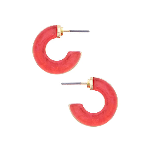 Dylan Double Hoop Earrings in Pink