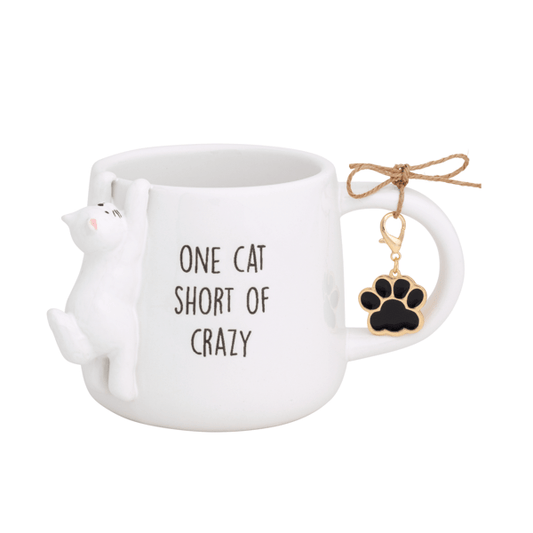 Cat Crazy Figure Mug