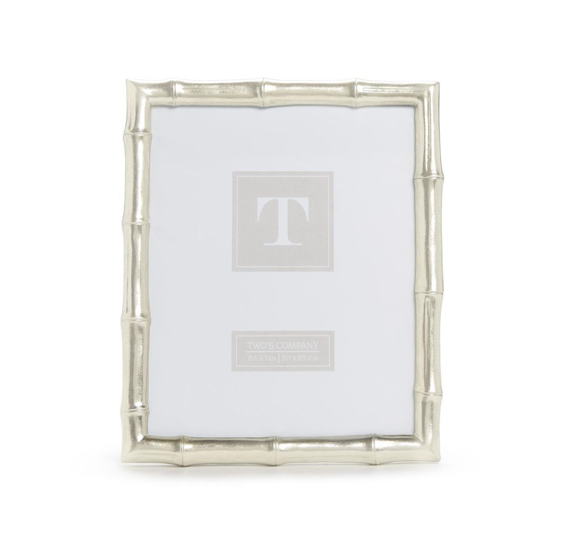 Silver Faux Bamboo 8x10 Frame