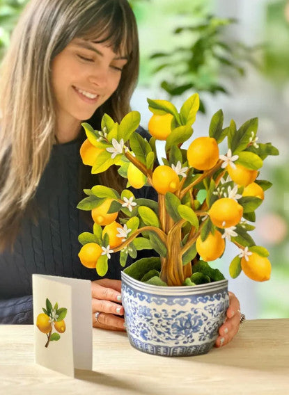 Pop Up Card, Lemon Blossom Tree
