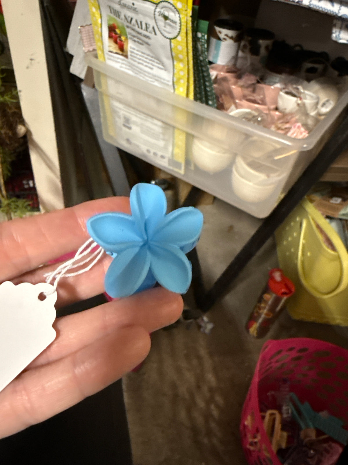 Assorted Hair Clips, Small