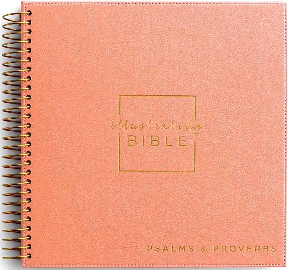 NIV - Psalms to Proverb - Illustrating Bible