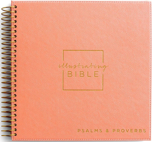 NIV - Psalms to Proverb - Illustrating Bible