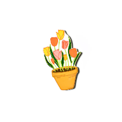 Mini Attachment, Pot of Tulips
