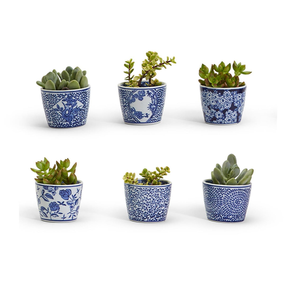 Decorative Blue/White Mini Cachepot, Assorted Designs