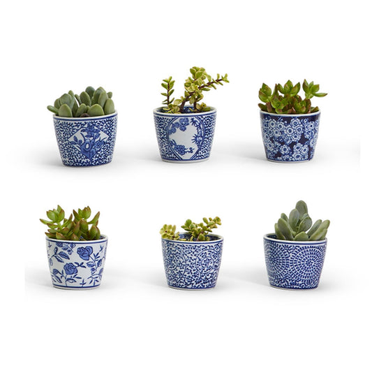 Decorative Blue/White Mini Cachepot, Assorted Designs