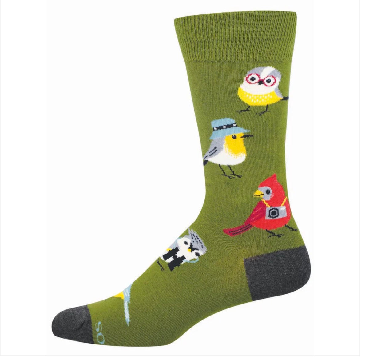 Men, Bird is the Nerd Green