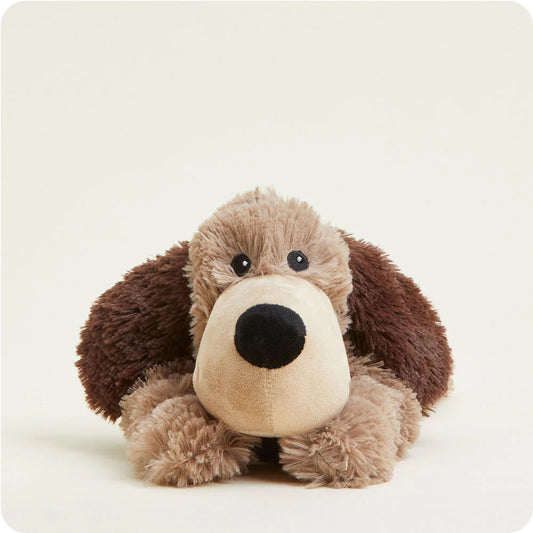 Brown Dog Warmies Junior