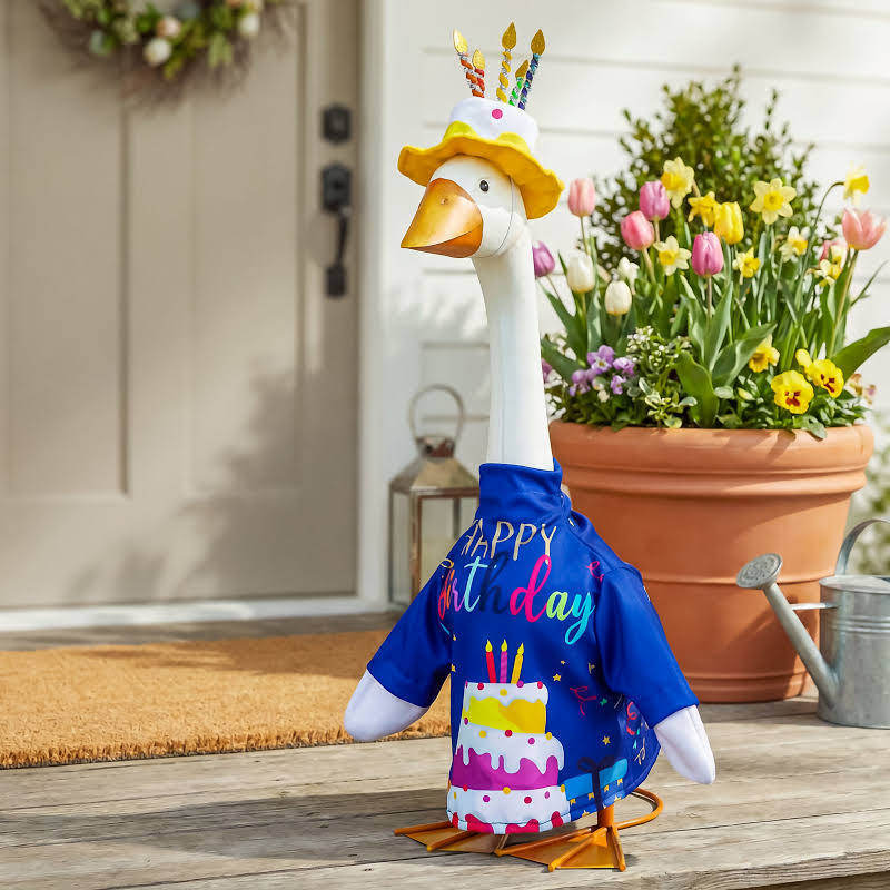 Porch Goose Outfit, Birthday Celebration