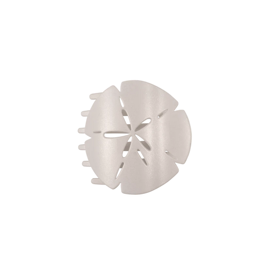 Sand Dollar, Flat Round Hair Clip Medium
