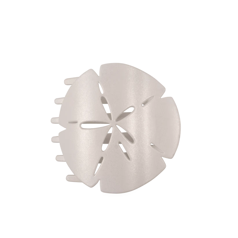 Sand Dollar, Flat Round Hair Clip Large