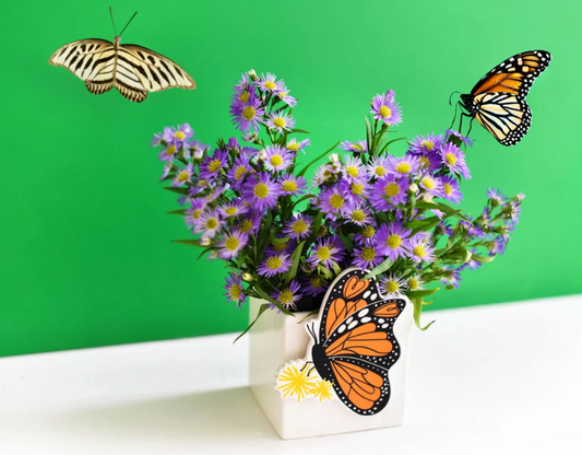 Monarch Mini Attachment