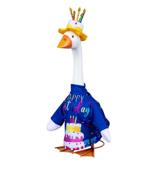 Porch Goose Outfit, Birthday Celebration