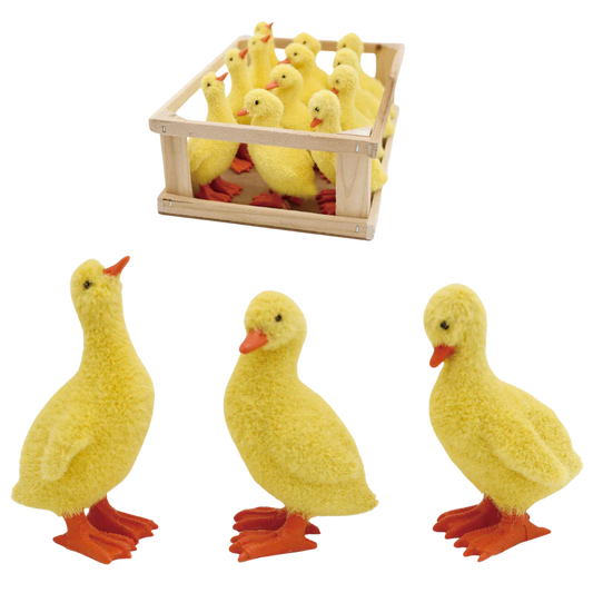 Mini Flock Ducks, Assorted