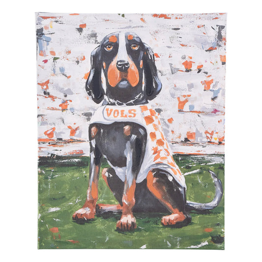 Painting of a dog wearing a 'VOLS' shirt with a colorful abstract background. university of tennessee smokey the volunteers mascot.