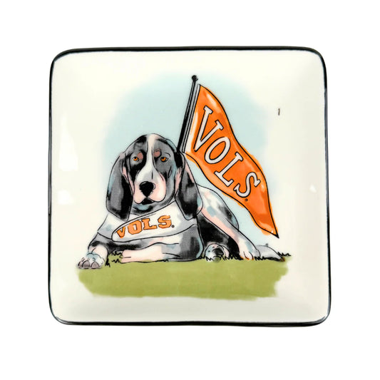 Decorative plate with a smokey the dog holding an 'VOLS' flag on a white background for university of tennessee