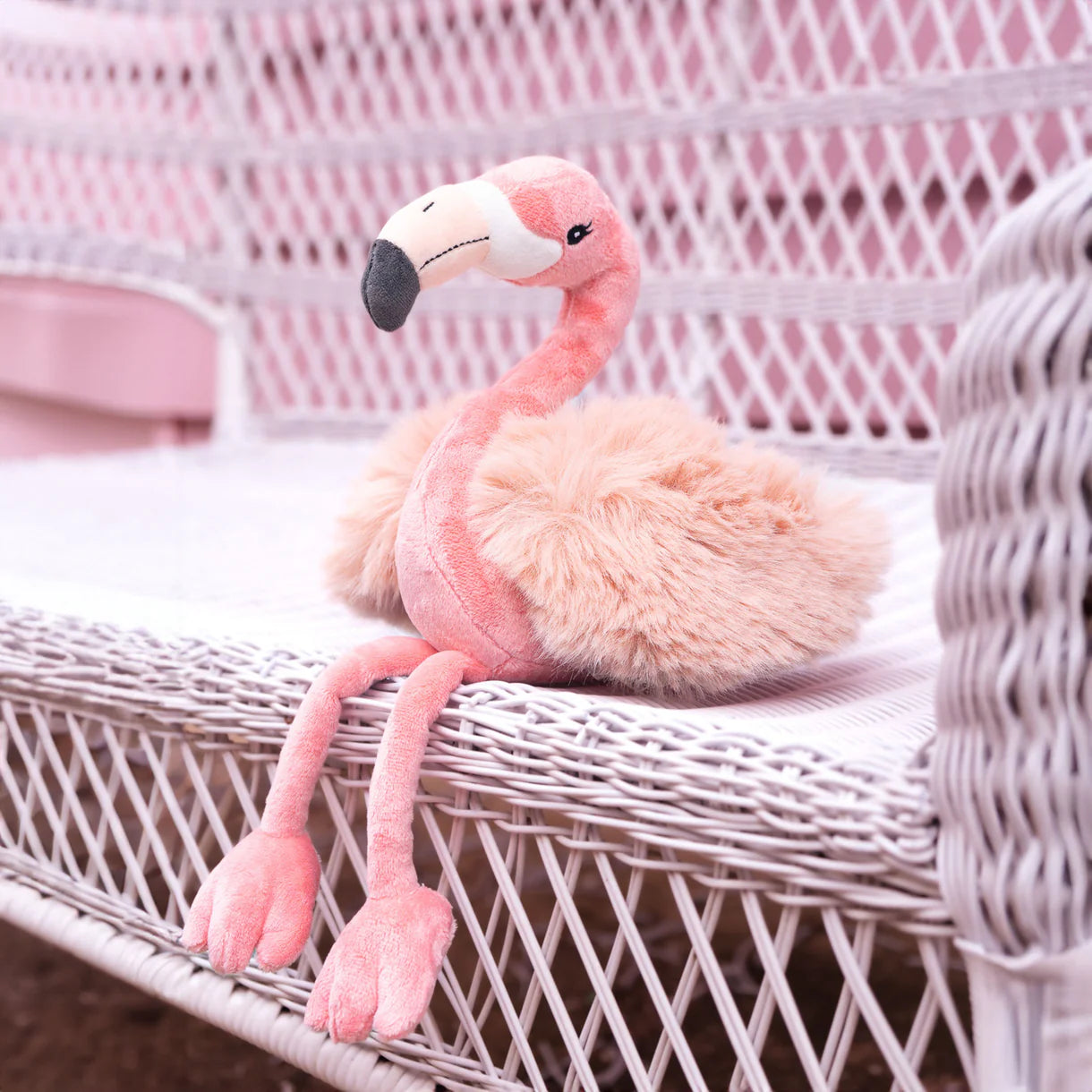 Phoebe Flamingo